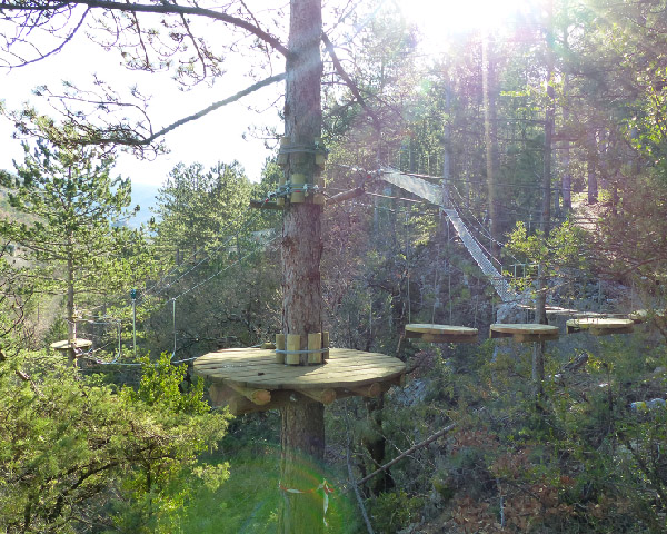 Plateformes dans les arbres